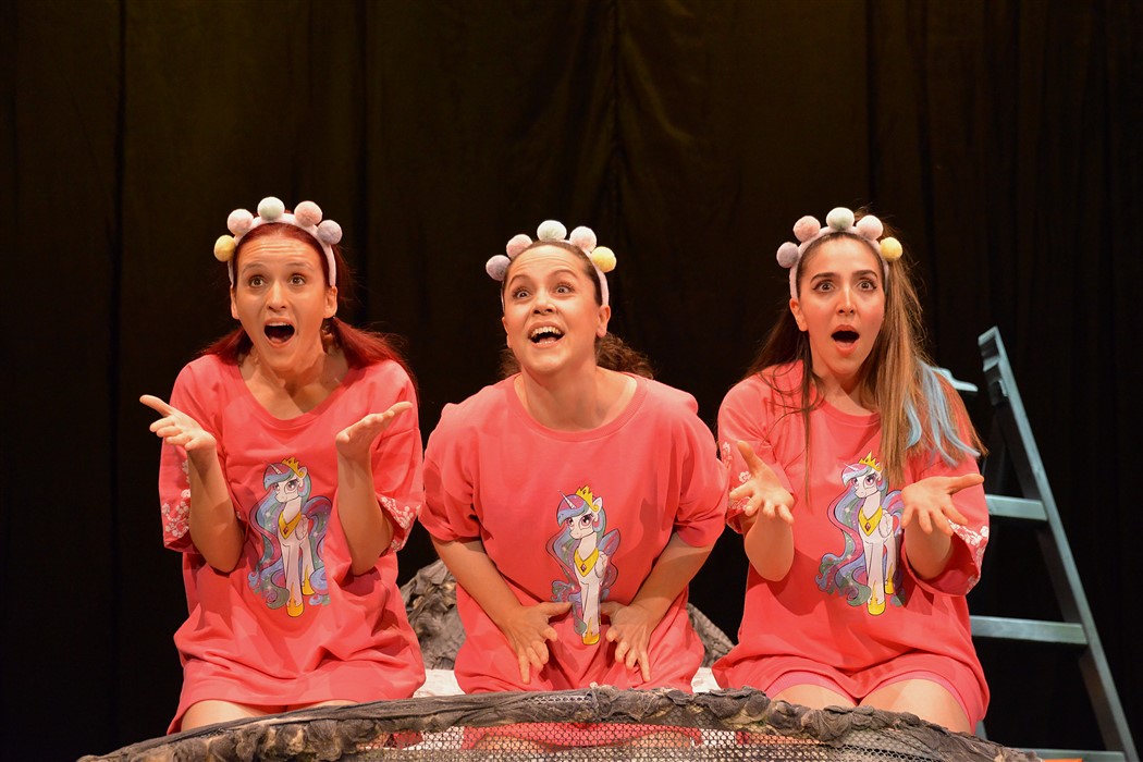 Ankara Devlet Tiyatrosu Oyunu Kadınlar Filler ve Saireler Sivas'ta sahnelendi