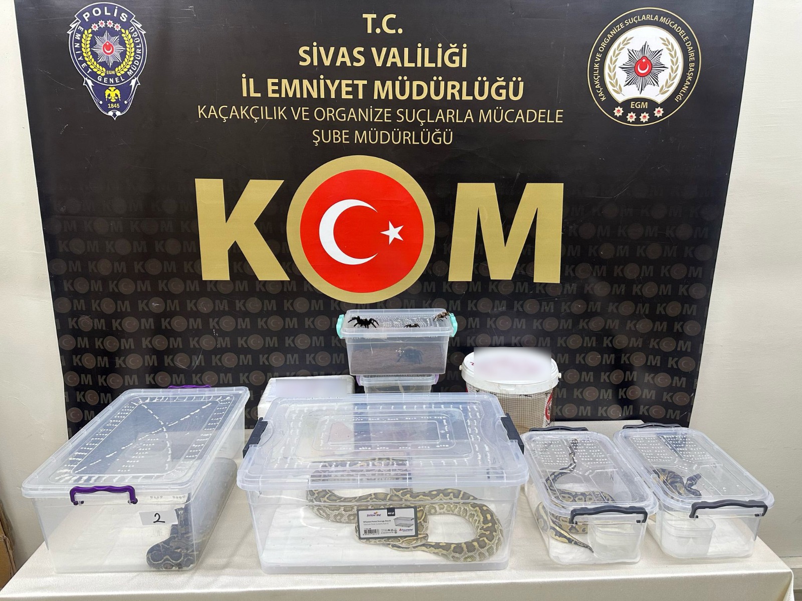 YASADIŞI HAYVAN TİCARETİ OPERASYONU