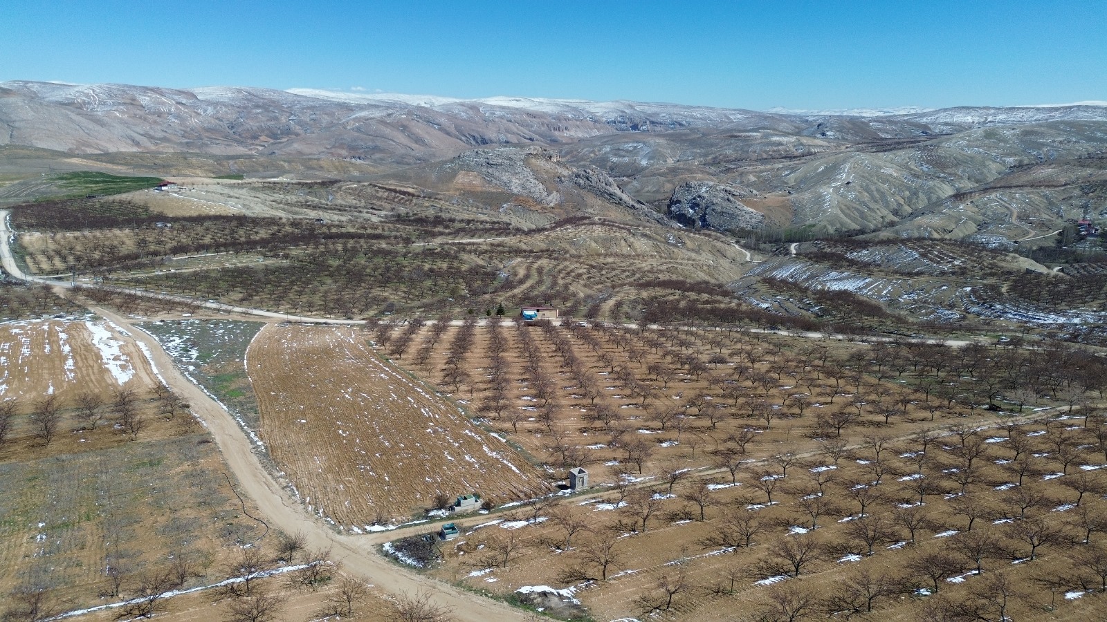 “ÇİFTÇİ PERİŞAN, BORÇLAR ERTELENMELİ AFET BÖLGESİ İLAN ETMELİ” “ÇİFTÇİ PERİŞAN, BORÇLAR ERTELENMELİ AFET BÖLGESİ İLAN ETMELİ”