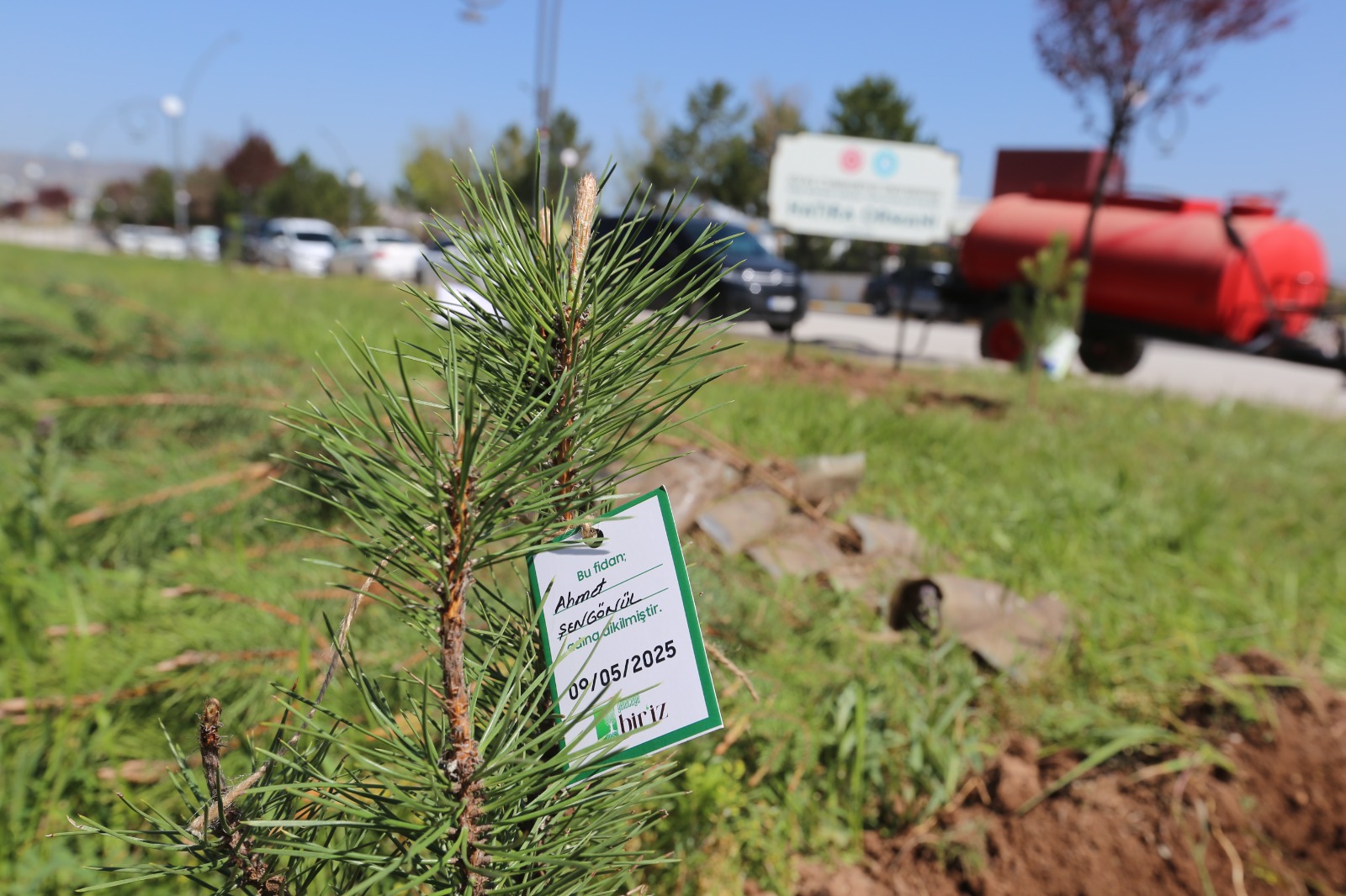 SCÜ Kampüsüne Türk Dünyası’nı Temsilen Fidanlar Dikildi