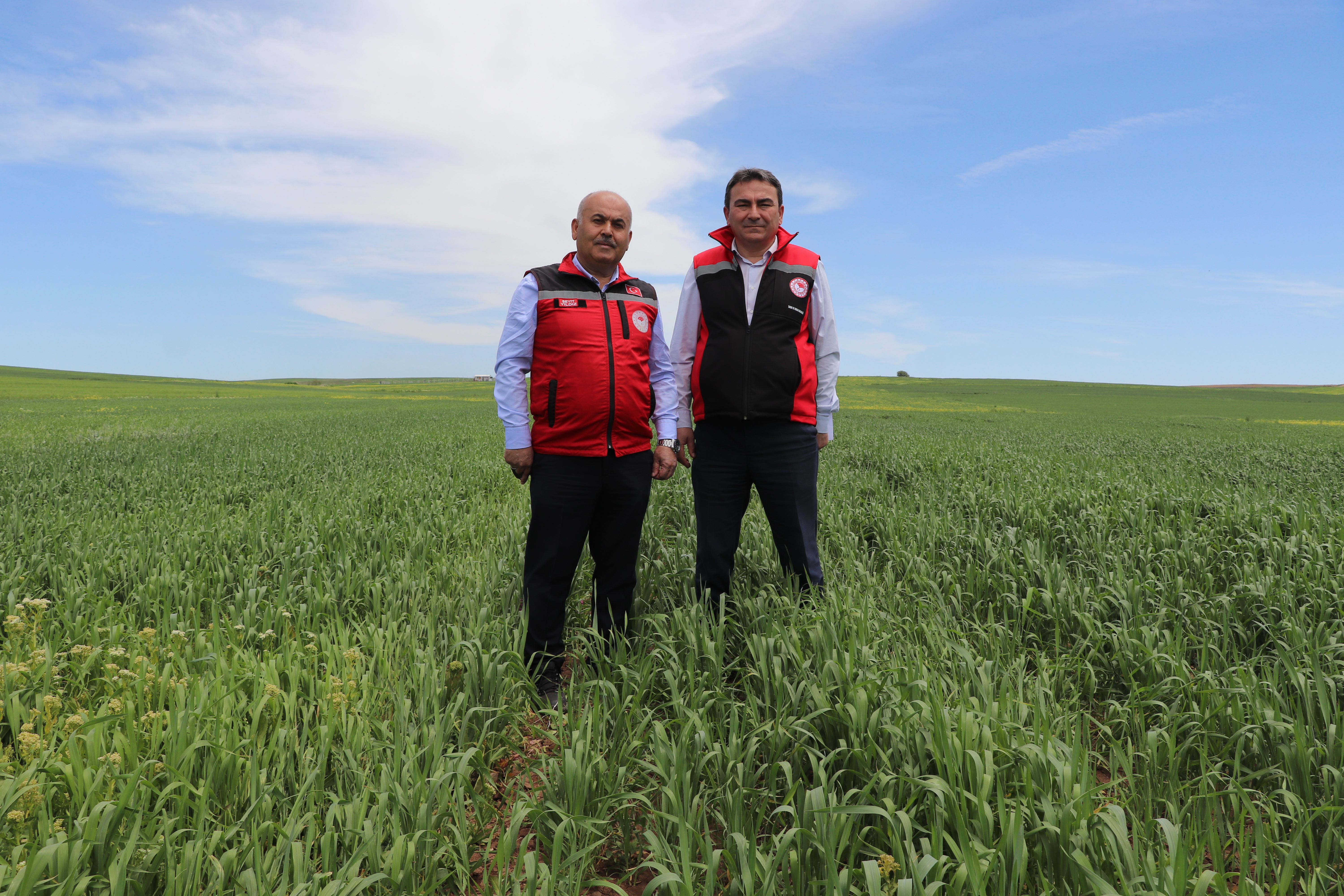 İlimizde Tohumluk Patates Ekimi Başladı