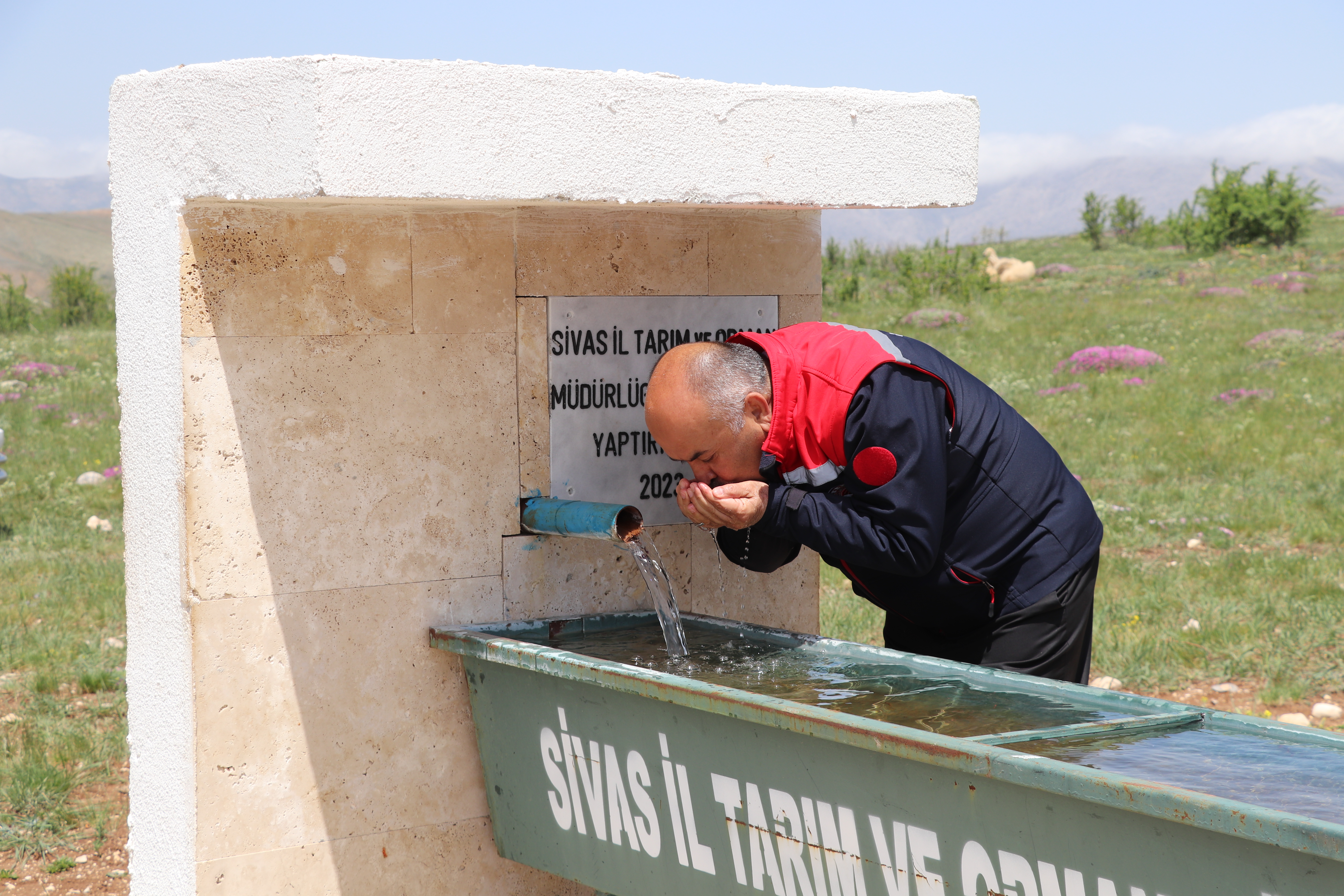 Kangal İlçesi Deliktaş Köyünde Mera Islahı Projesi Hayata Geçti