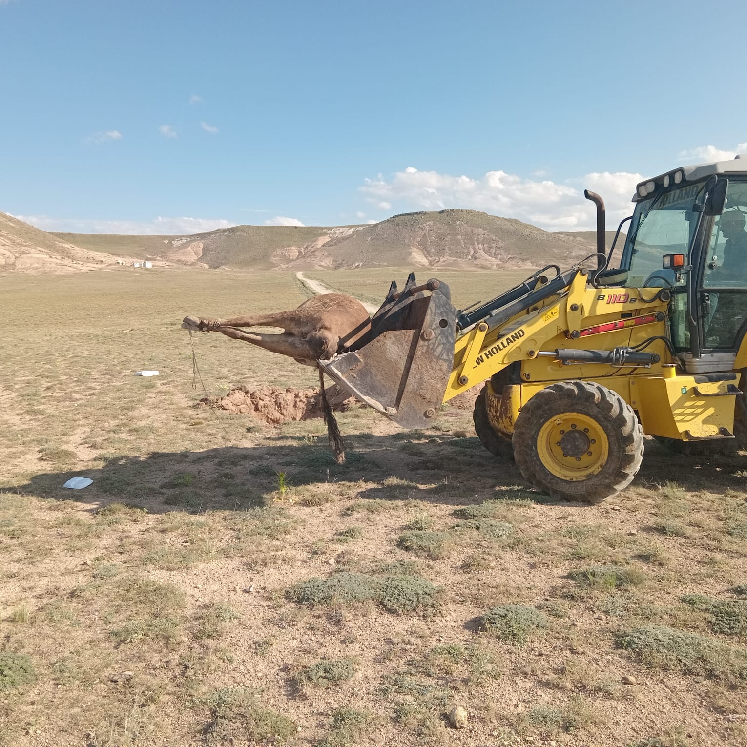 ŞAP HASTALIĞI MECLİS GÜNDEMİNDE ŞAP HASTALIĞI MECLİS GÜNDEMİNDE