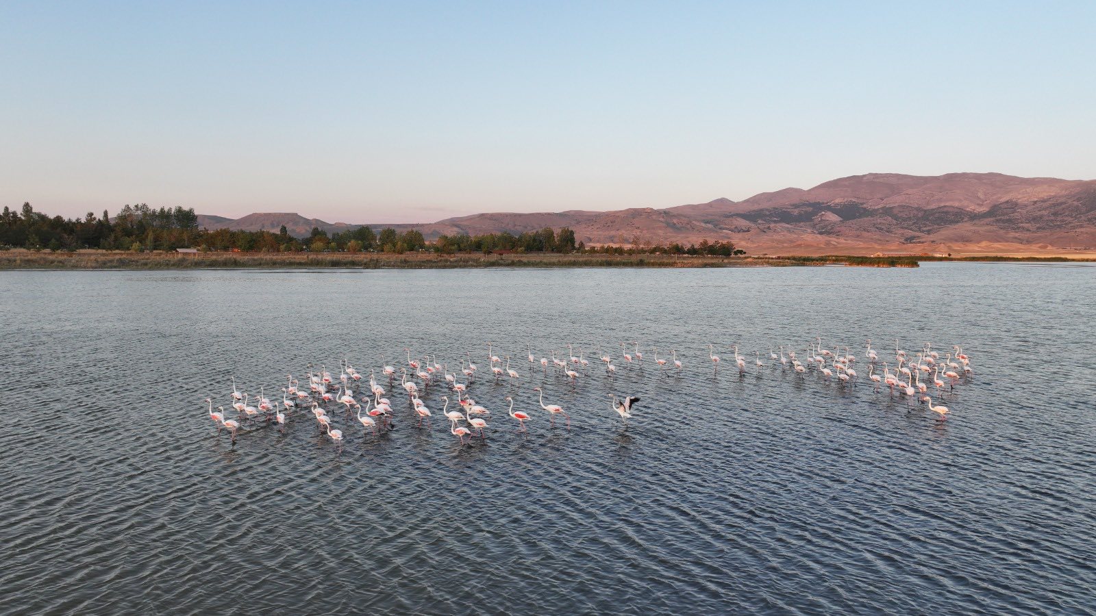 Sivas İli Ulusal Öneme Haiz Sulak Alan Komisyon Toplantısı, Vali Yılmaz Şimşek başkanlığında gerçekleştirildi