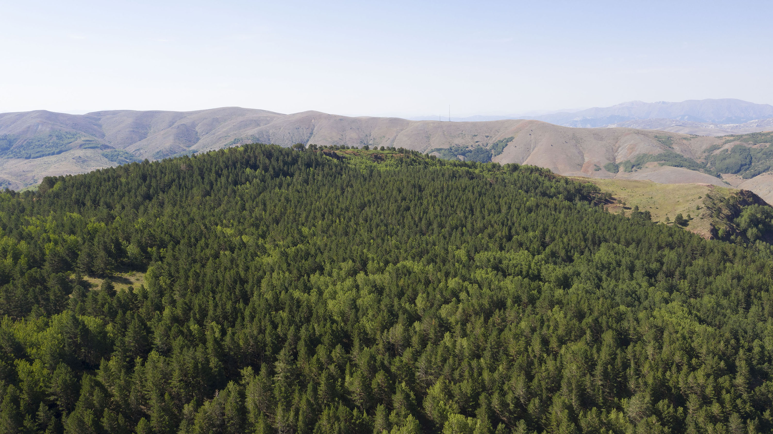 İlimiz Genelinde Ormanlara Giriş Yasaklandı