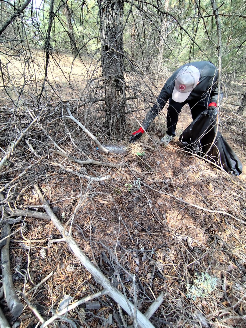 Sivas Cumhuriyet Üniversitesi Kampüsünde Yangın Riskine Karşı Kapsamlı Önlem Sivas Cumhuriyet Üniversitesi Kampüsünde Yangın Riskine Karşı Kapsamlı Önlem