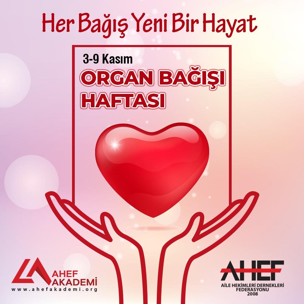 Organ ve Doku Bağışı Organ ve Doku Bağışı