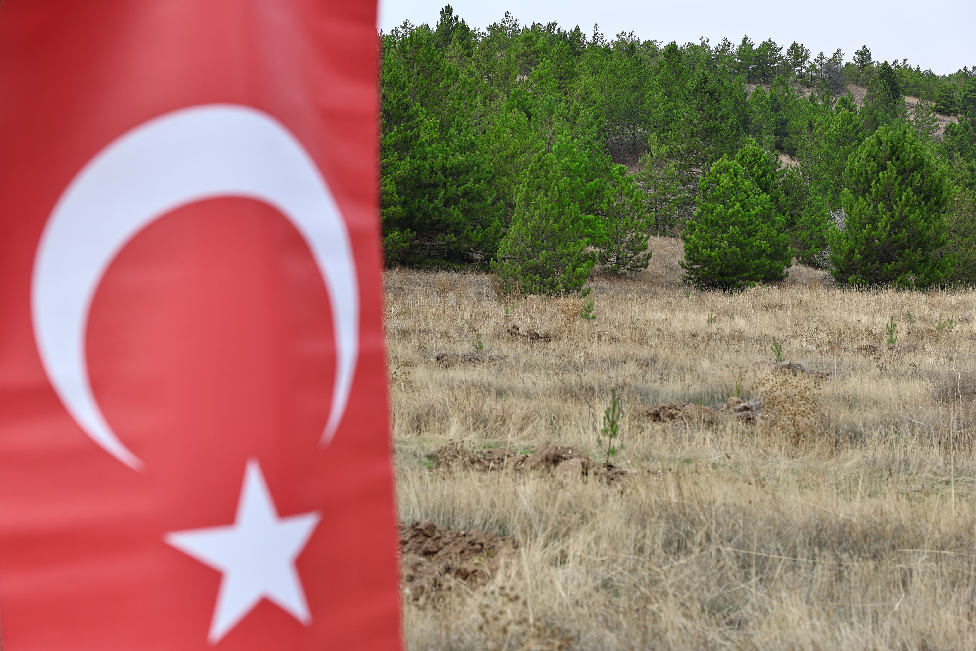 Milli Ağaçlandırma Günü'nde Fidanlar Toprakla Buluşturuldu