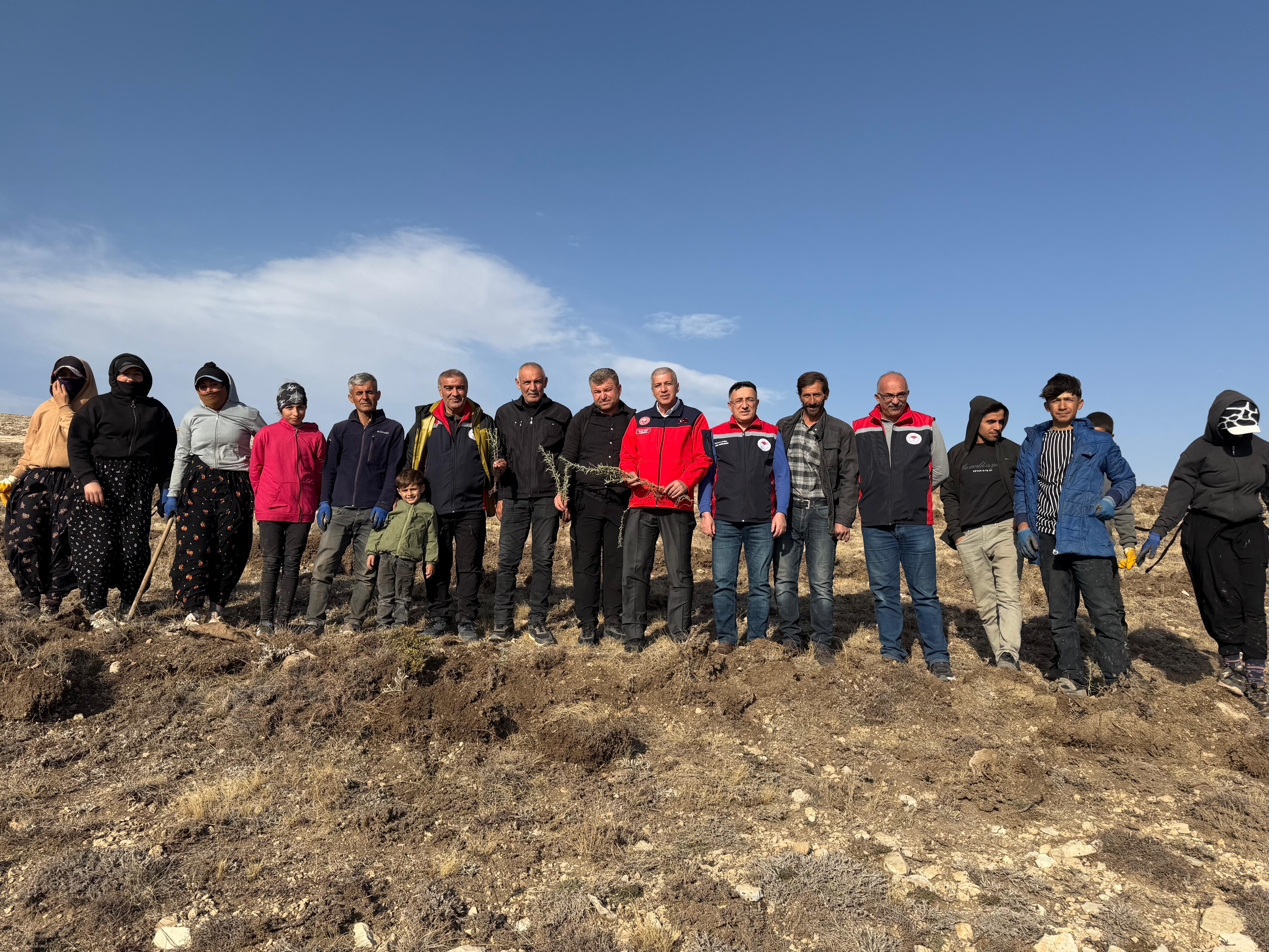 İlimizde Mera Islah Amaçlı Tuz Çalısı Dikimi Projesi Devam Ediyor.