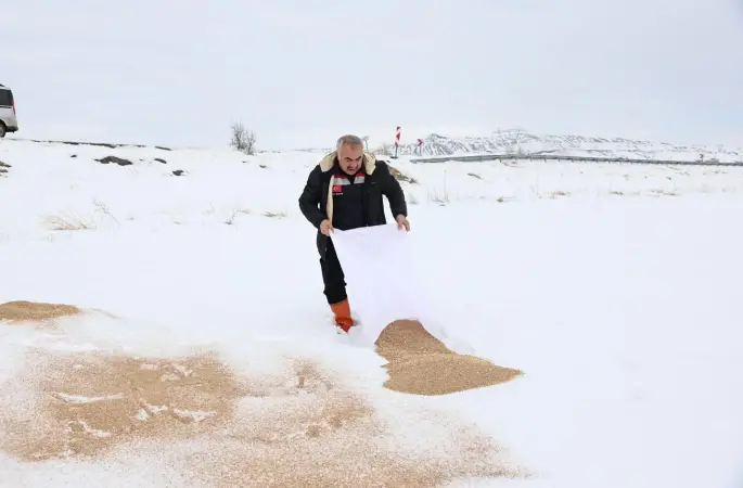 Sivas Zabıta Ekipleri sokak hayvanları için seferber oldular