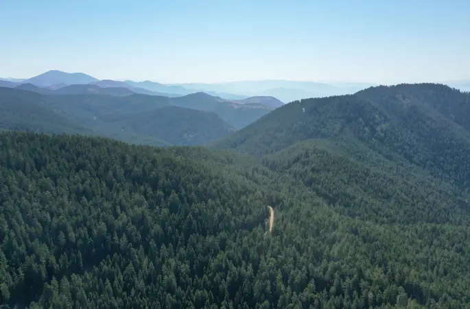 İlimiz Genelinde Ormanlara Giriş Yasaklandı