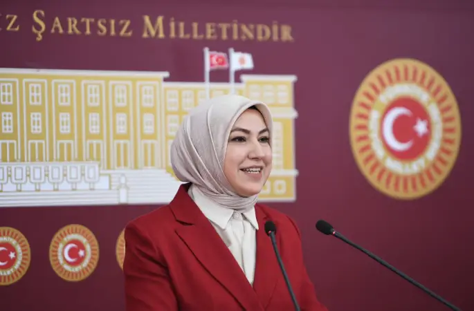Ak Parti Sivas Milletvekili Rukiye Toy Gazi Meclisimizde 20 Aralık Uluslararası İnsani Dayanışma Günü nedeniyle basın açıklaması yaptı