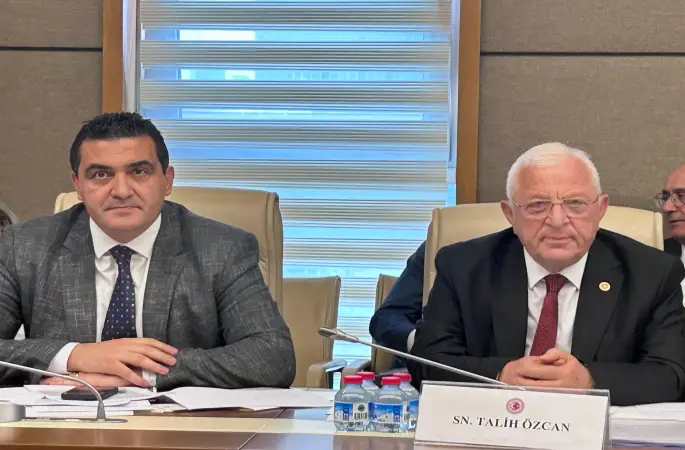 “GES’E EVET MERALARIN TALANINA HAYIR!”