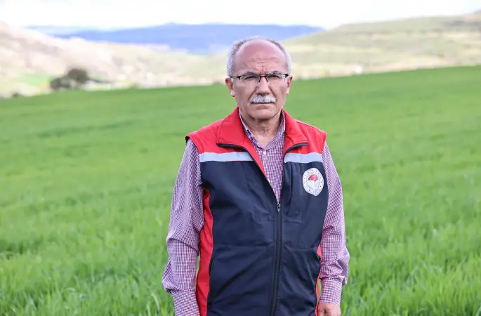 Hububatta Sarı Pas Hastalığına Dikkat
