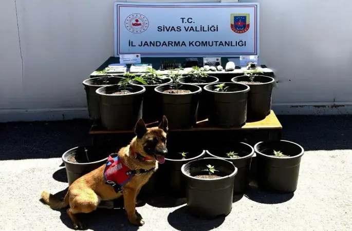 “Uyuşturucu veya uyarıcı madde imal ve ticareti”