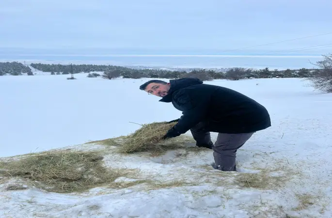 Veteriner Fakültesinden Yabani Hayvanlar İçin Doğaya Yem Desteği