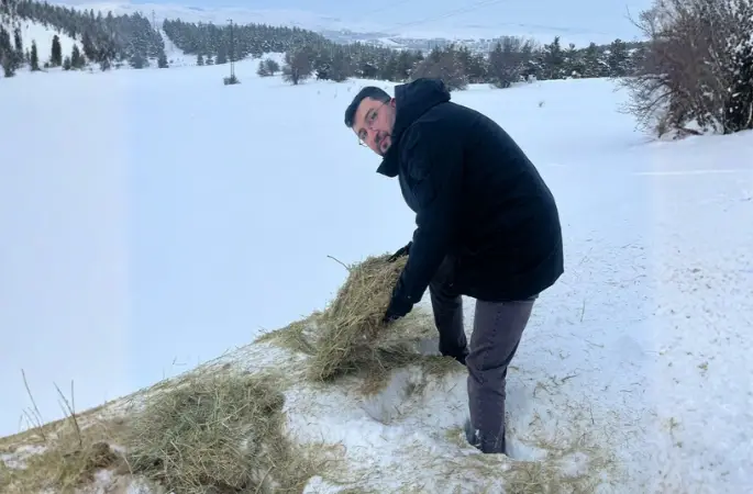 Veteriner Fakültesinden Yabani Hayvanlar İçin Doğaya Yem Desteği